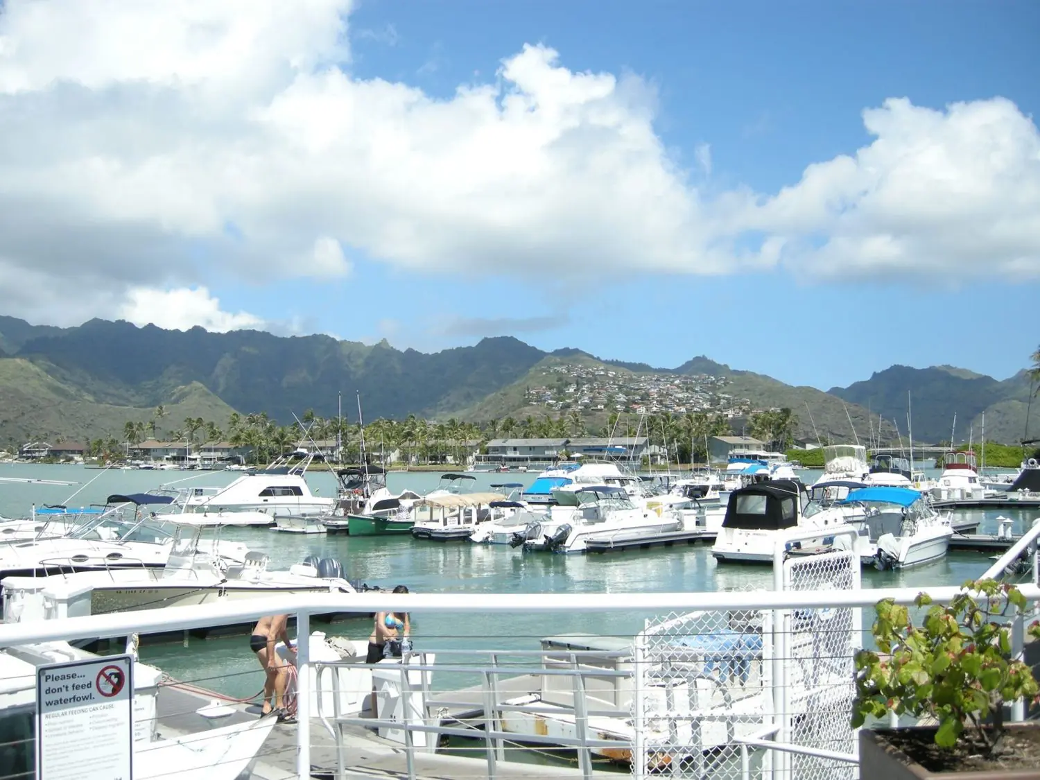 Boats and homes along the Hawaii Kai marina
