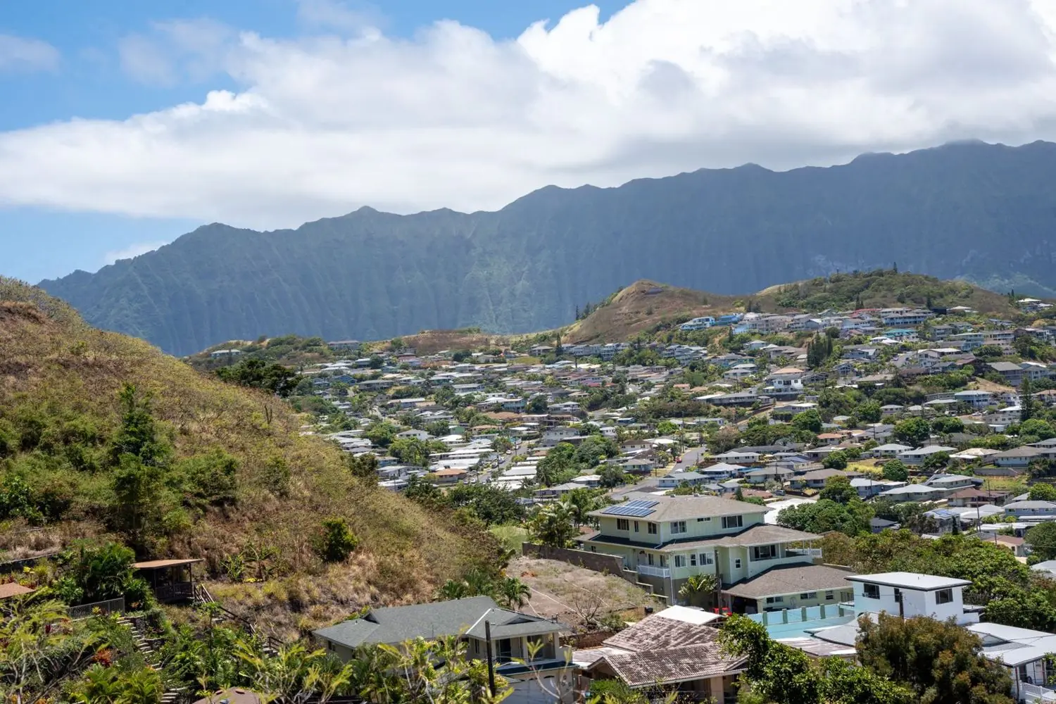 Shops and palm trees in Kailua town