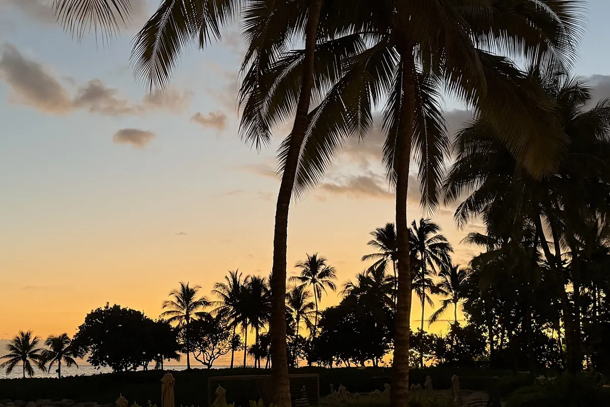 Palm trees at sunset at Ko Olina on the west side of Oahu